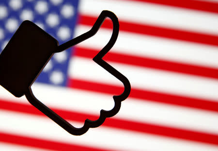 A 3D-printed Facebook Like symbol is displayed in front of a U.S. flag in this illustration taken, March 18, 2018. REUTERS/Dado Ruvic/Illustration