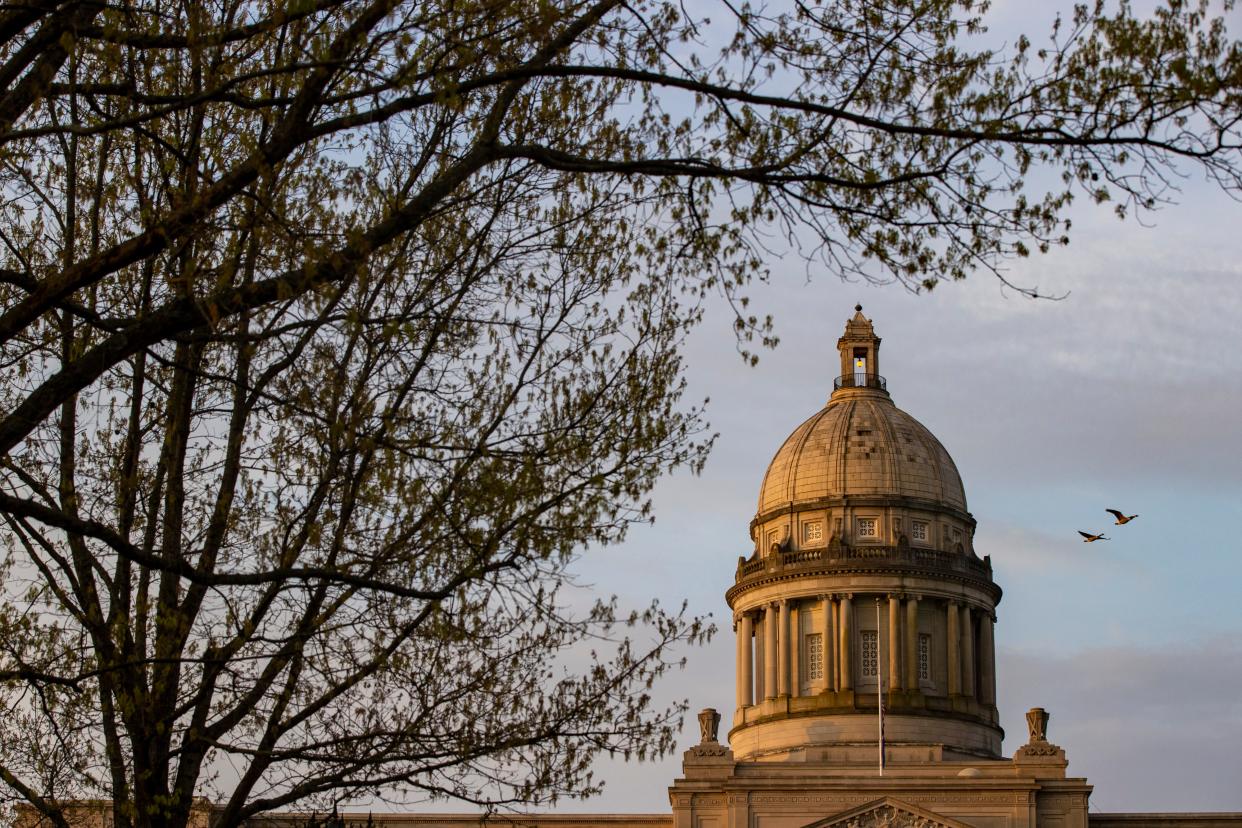 Two geese fly past the Capitol Building in Frankfort on Tuesday morning. April 14, 2020