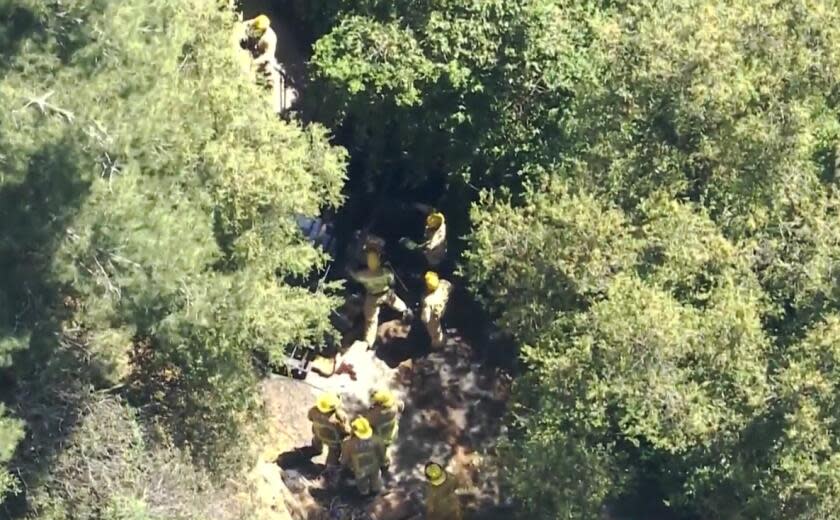 A worker died when he was crushed by a forklift in Los Angeles' Bel Air neighborhood on Monday, officials said. The accident occurred at about 1 p.m. at a construction site between homes in the 900 block of North Moraga Drive, where L.A. city firefighters responded to reports of a person trapped under a forklift carrying steel rebar.