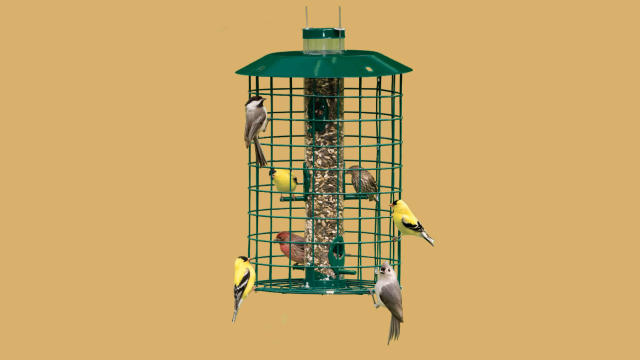 PETFUSION Tranquility Window Bird Feeder 