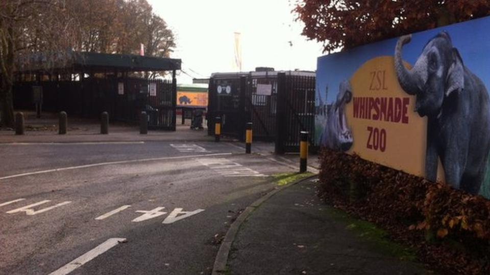 Admisión al zoológico de Whipsnade