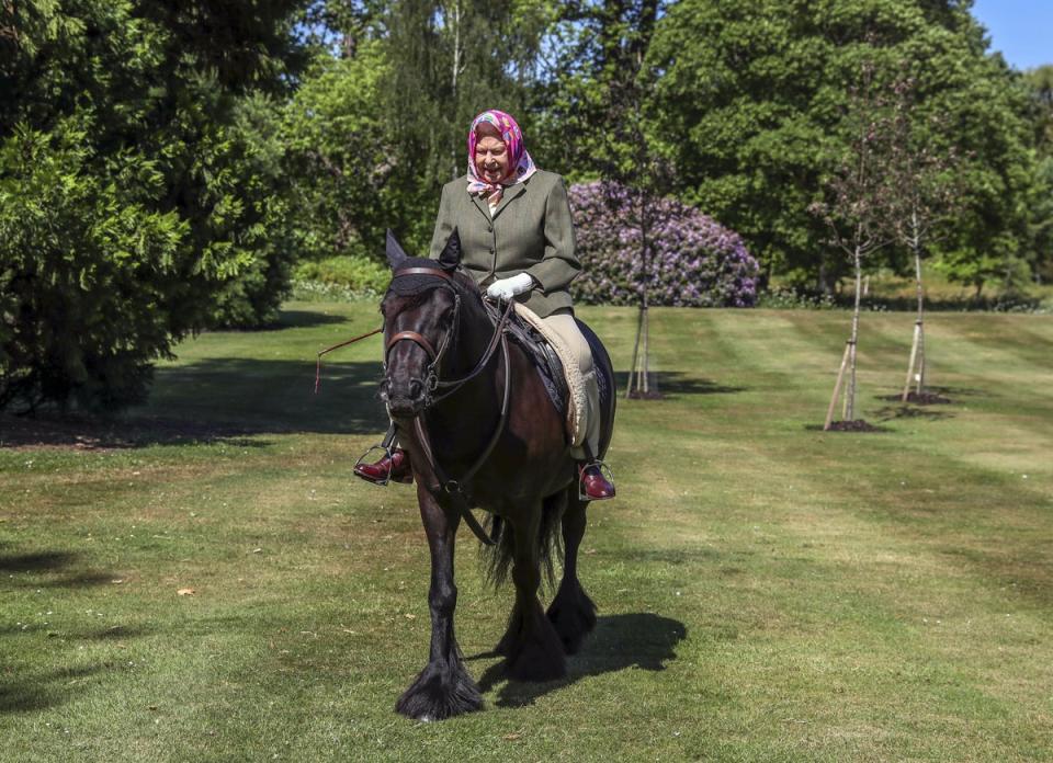 The Queen on Balmoral Fern, a 14-year-old Fell Pony, in Windsor Home Park (Steve Parsons/PA) (PA Wire)