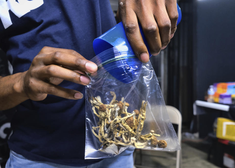 FILE - A vendor bags psilocybin mushrooms at a cannabis marketplace on May 24, 2019 in Los Angeles. Lawmakers throughout the United States are weighing proposals to legalize psychedelic mushrooms for people. They say alarming suicide rates and a shortage of traditional mental health practitioners has led them to consider research into alternative treatments for depression and anxiety, including so-called magic mushrooms. (AP Photo/Richard Vogel, File)