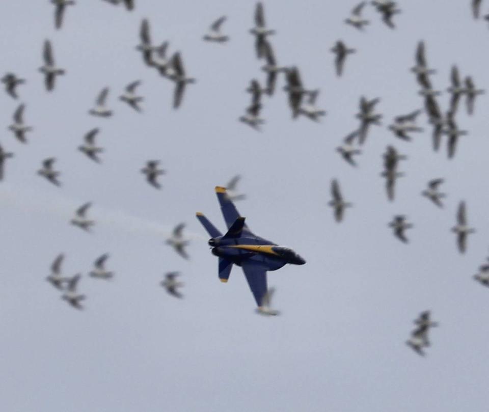 An F/A-18 Super Hornet prepares to land at the Marine Corps Air Station in Beaufort on Wednesday.