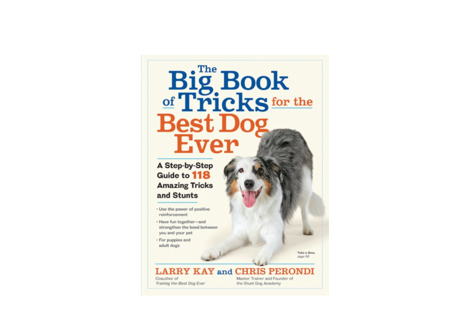 39) The Big Book of Tricks for the Best Dog Ever