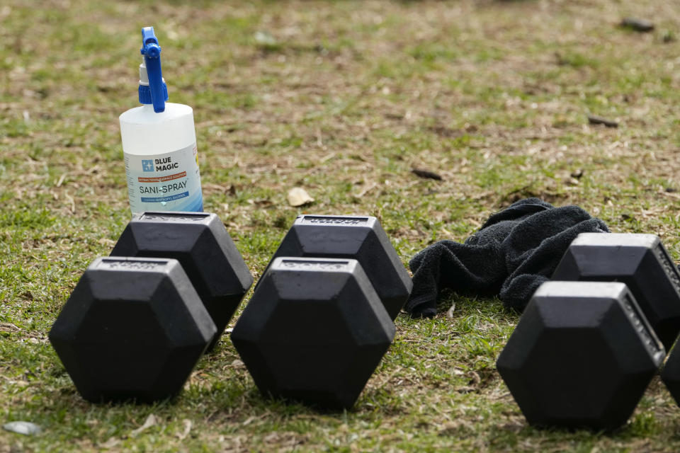 A bottle of disinfectant sits by gym equipment in a park in the eastern suburbs of Sydney Tuesday, Sept. 14, 2021. Personal trainers have turned a waterfront park at Sydney’s Rushcutters Bay into an outdoor gym to get around pandemic lockdown restrictions. (AP Photo/Mark Baker)