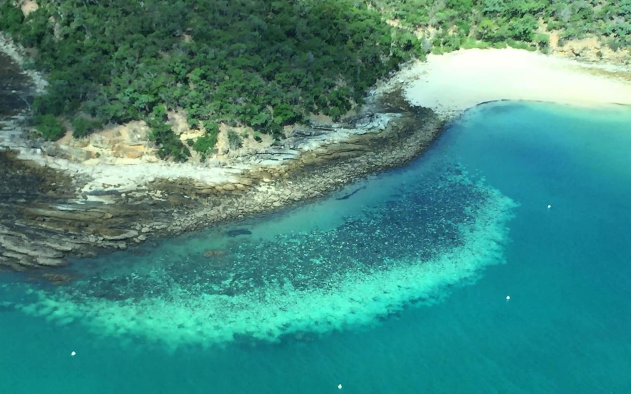 Record sea temperatures had caused the third mass bleaching of the reef system - JAMES COOK UNIVERSITY AUSTRALIA/AFP via Getty Images