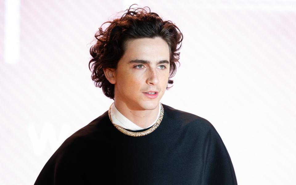 A future John? Timothee Chalamet