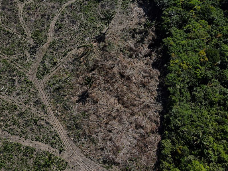 FILE PHOTO: An aerial view shows a deforested plot of the Amazon rainforest in Manaus