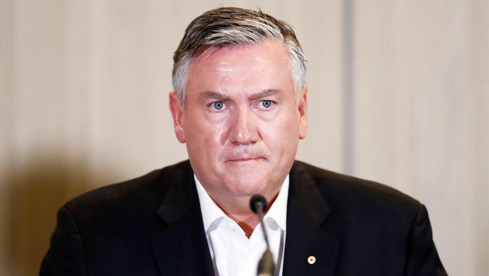 Eddie McGuire (pictured) talking during a press conference.