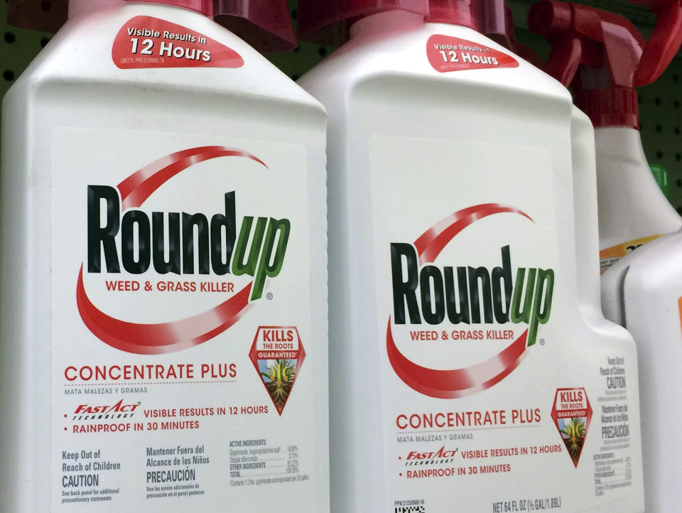 FILE - This Jan. 26, 2017 file photo shows containers of Roundup, a weed killer made by Monsanto, on a shelf at a hardware store in Los Angeles. A San Francisco jury's $289 million verdict in favor of a school groundskeeper who says Roundup weed killer caused his cancer will face its first court test. Agribusiness giant Monsanto will argue at a hearing on Wednesday, Oct. 10, 2018 that Judge Suzanne Bolanos should throw out the verdict in favor of DeWayne Johnson. (AP Photo/Reed Saxon, File)