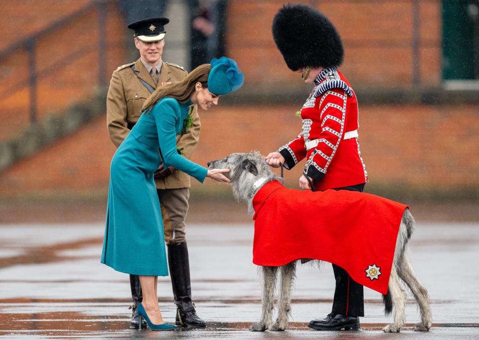 Catherine, Princess of Wales (in her role as Colonel of the Irish Guards) presents Irish Wolf Hound 'Turlough Mor' (aka Seamus), regimental mascot of the Irish Guards, with a sprig of shamrock during the 2023 St. Patrick's Day Parade at Mons Barracks in Aldershot, England.