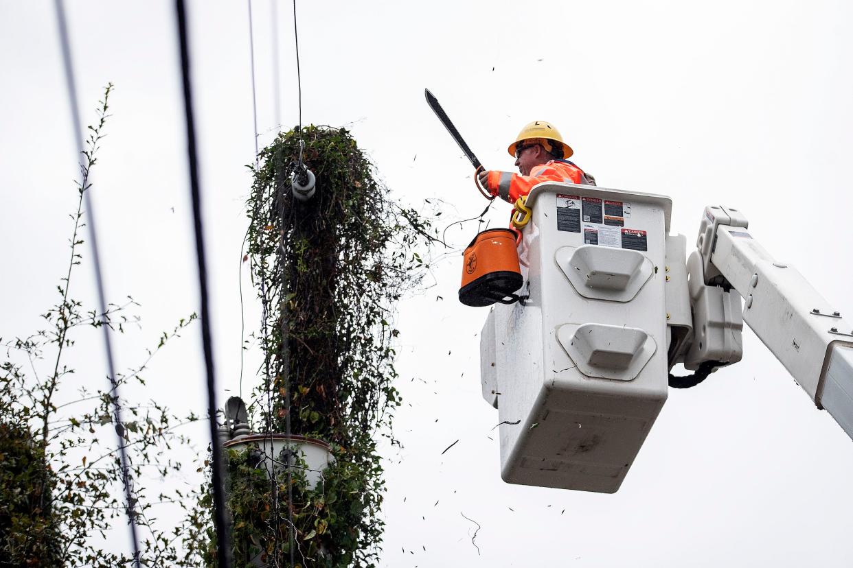 A city utilities worker clears a power line Thursday, Nov. 10, 2022, as Tallahassee feels the effects of Tropical Storm Nicole.