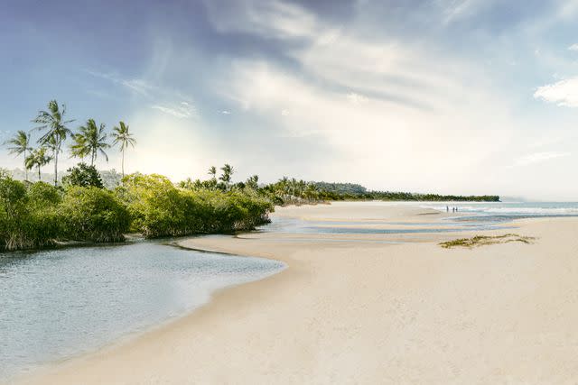 <p>Marta Tucci</p> The Atlantic coast near Trancoso, Brazil.