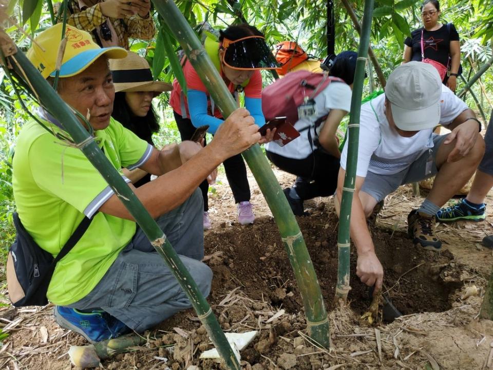 《圖說》「田間廚房-採筍一日遊」推動一連串結合在地特色的食農教育小旅行，安排到歷屆新北筍王的筍園資料照片。〈農業局提供〉