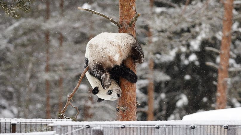 Lehtikuva/Roni Rekomaa via REUTERS