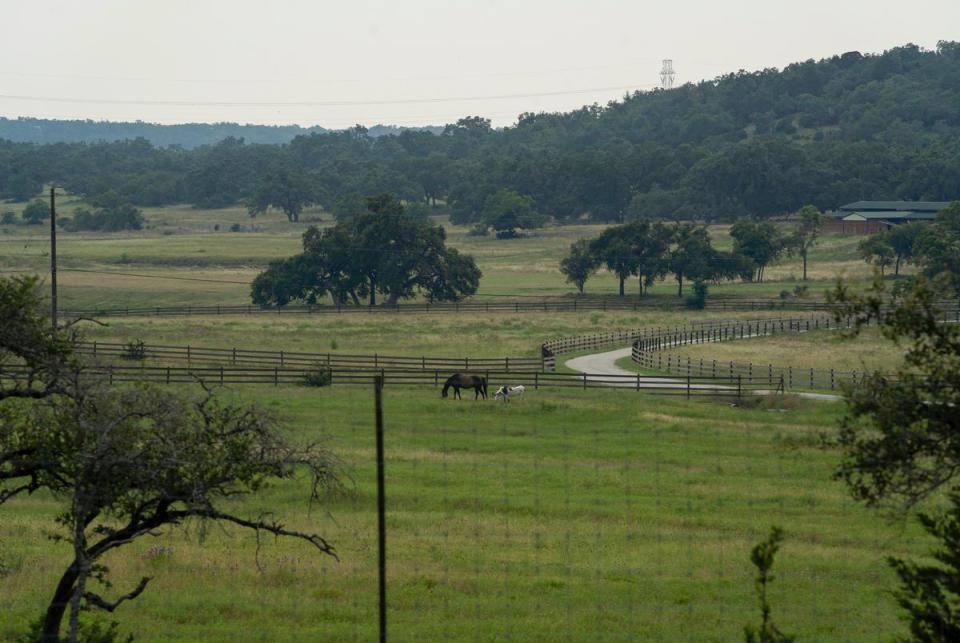 Horses graze on Doug Harrison’s property in Comal County nearly halfway between New Braunfels and Bulverde, on June 16, 2023. Harrison’s application for a wastewater treatment plant on his 500-plus-acre plot of land in Comal County stirred controversy as residents have raised environmental concerns.