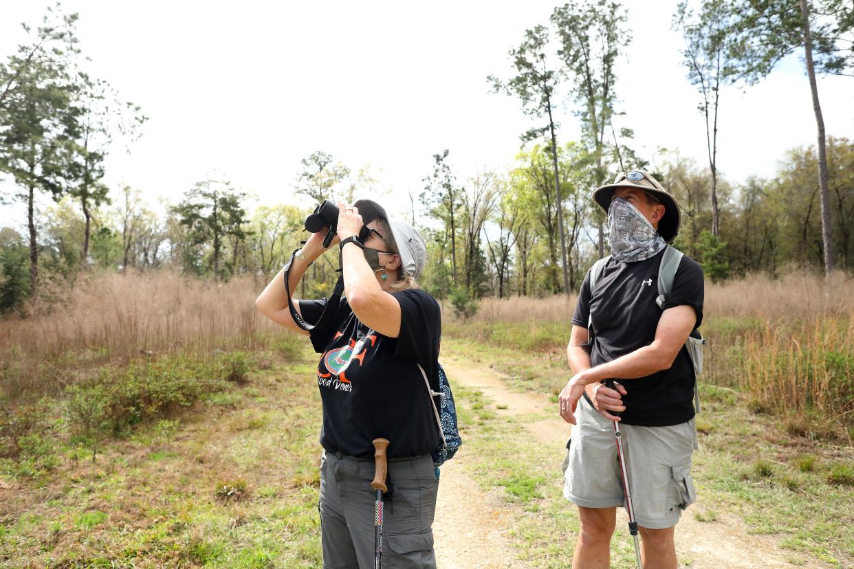 The first hikers walk the trails at the March 1 opening of the Turkey Creek Preserve. Money from Alachua County's Wild Space and Public Places program helped purchase the 375-acre preserve in Alachua.