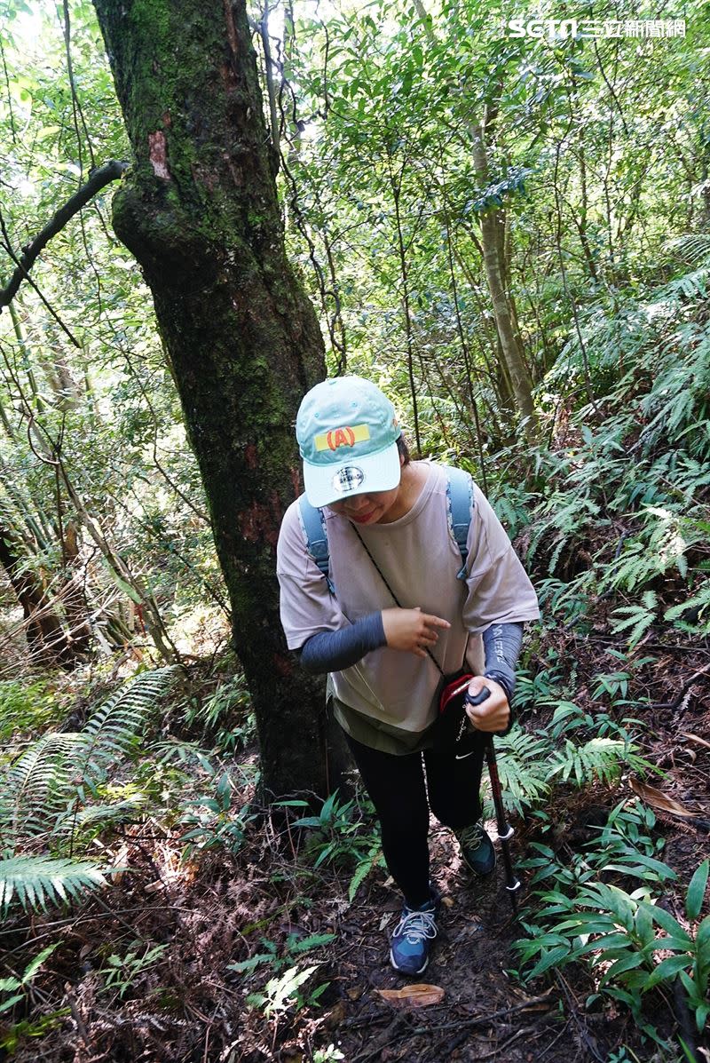 山上的天然美景與新鮮空氣吸引許多人爭相加入登山客的行列。 （圖／資料照）