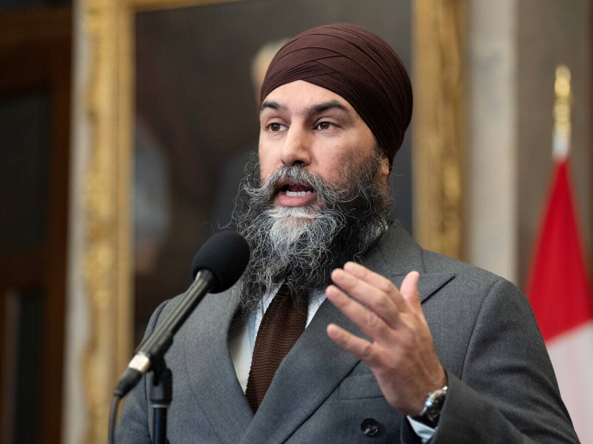 New Democratic Party Leader Jagmeet Singh speaks with reporters in the Foyer of the House of Commons in a file photo from Feb. 5. (Adrian Wyld/The Canadian Press - image credit)