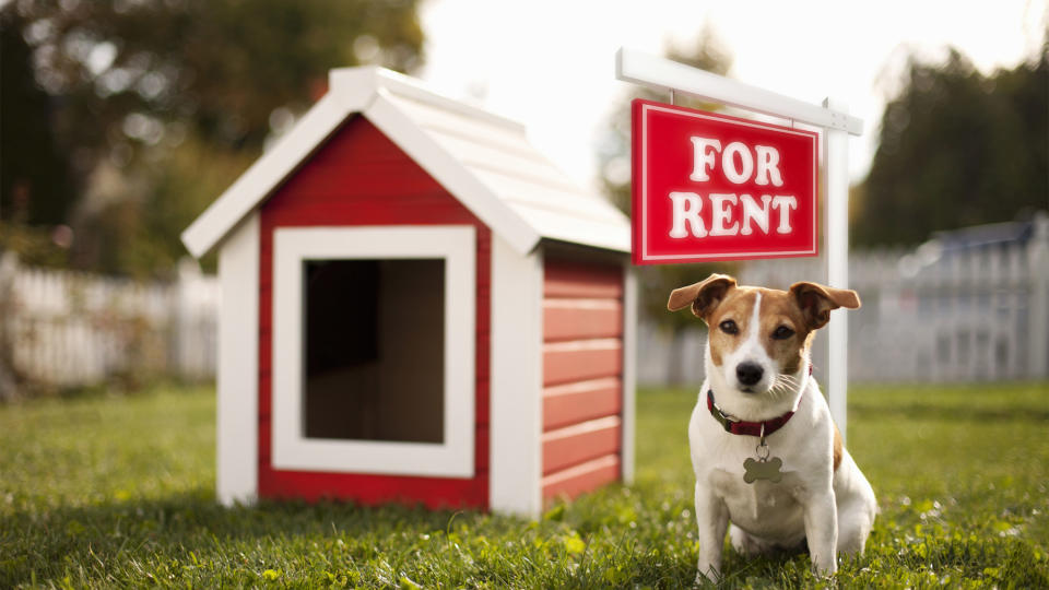 doghouse for rent