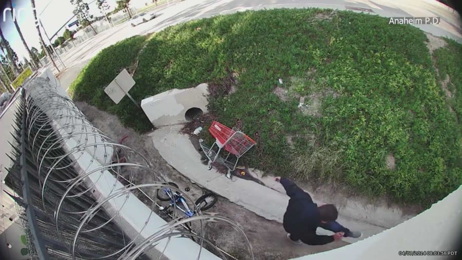 Video footage shows the man, identified as Joseph Michael Sanders, holding the puppy in his arms before tossing it in the air and kicking it. (Anaheim Police Dept.)