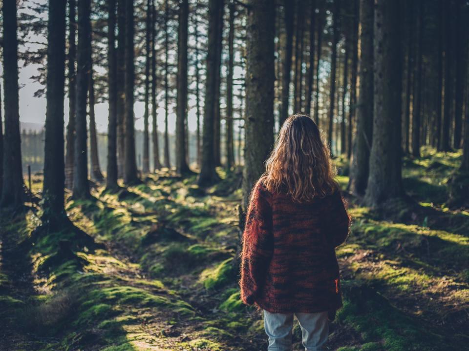 Denn ohne vorgegebene Strecke wird sich möglichst langsam beim Waldbaden fortbewegt, um Eindrücke in Ruhe wirken zu lassen und generell zu entschleunigen. (Bild: iStock/lolostock)