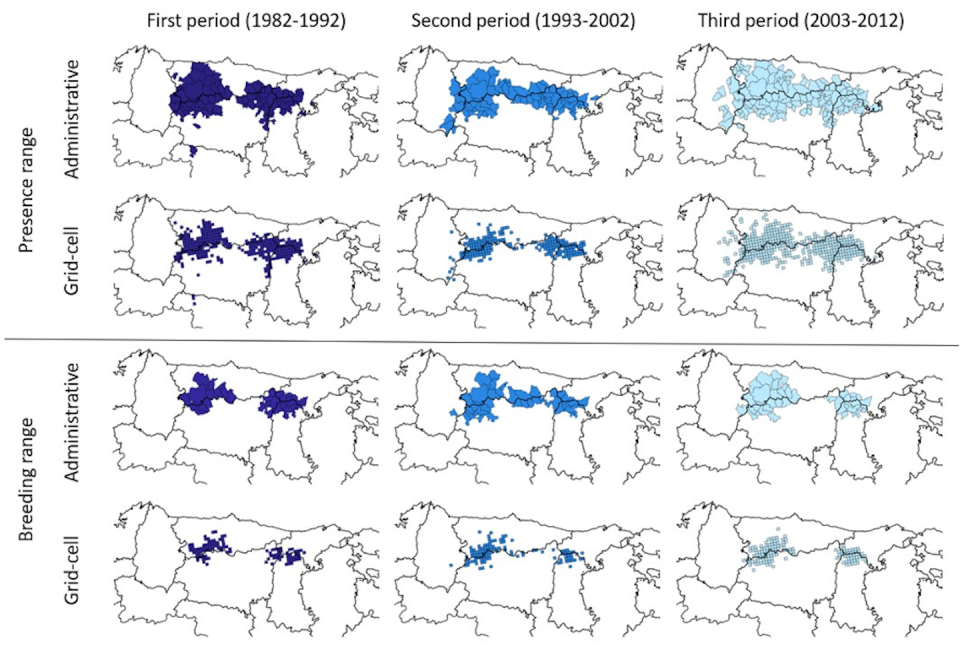 Área de presencia total y el área de presencia de las osas con crías en los tres periodos estudiados y en dos resoluciones espaciales: administrativa (municipios) y de cuadrículas de 25 km₂. Author provided