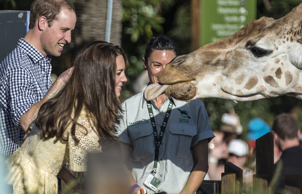 Prince William and Kate Middleton at Taronga Zoo in 2014