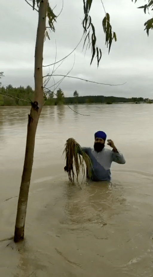 <div class="paragraphs"><p>A farmer showing the flooded crops.</p></div>