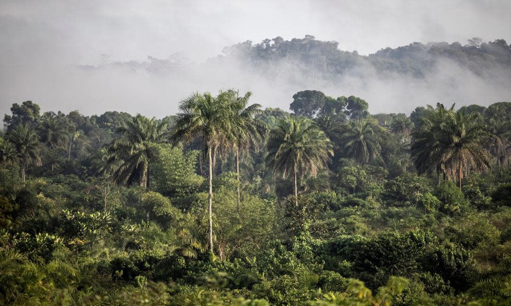 <span>Photograph: John Wessels/AFP/Getty Images</span>