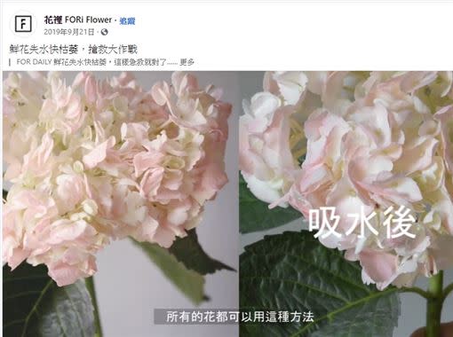 幫花「敷面膜」之後，吸飽水份的花莖及花瓣都恢復精神，變得神采奕奕了。（圖／翻攝自臉書粉絲專業「花裡 FORi Flower」）