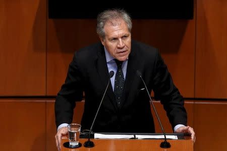 Organization of American States (OAS) Secretary General Luis Almagro gives a speech during a plenary session of Mexico's Senate in Mexico City, September 8, 2015. REUTERS/Edgard Garrido
