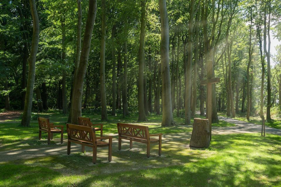 Green burial grounds like Waldfrieden, a burial forest in Germany, are popular in the United Kingdom and Europe. Shutterstock