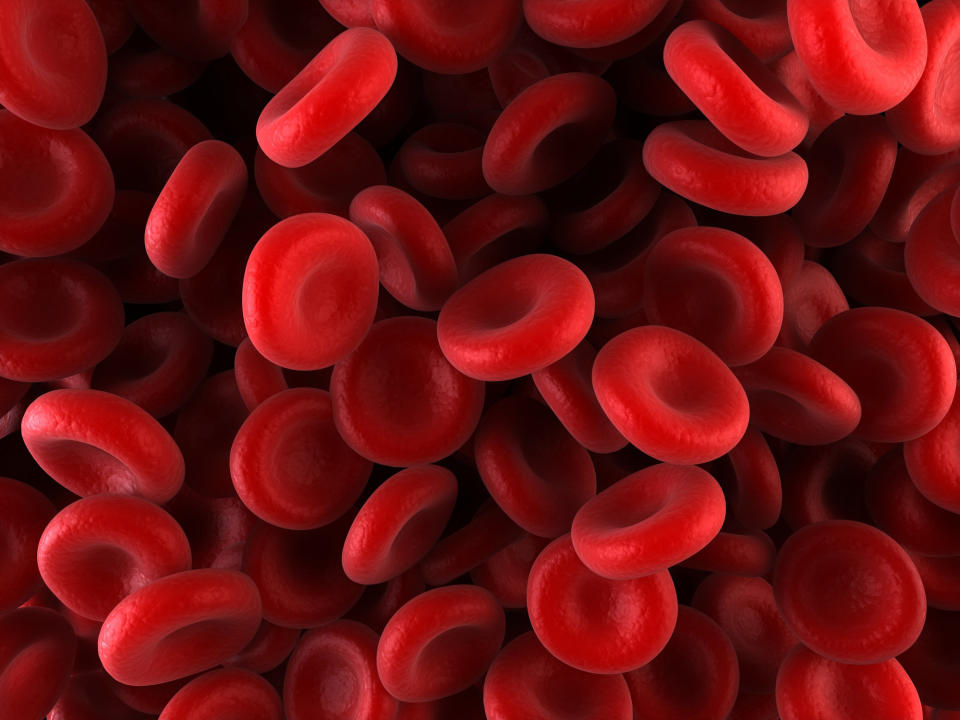 Red blood cells