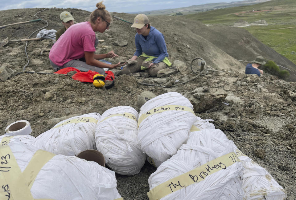 In this photo provided by Giant Screen Films, chief preparator Natalie Toth, left, of the Denver Museum of Nature and Science, examines fossilized plants from the Cretaceous period in a moment captured by the crew of the documentary "T.REX," at a fossil dig site in North Dakota, named “The Brothers.” (Andy Wood/Giant Screen Films via AP)