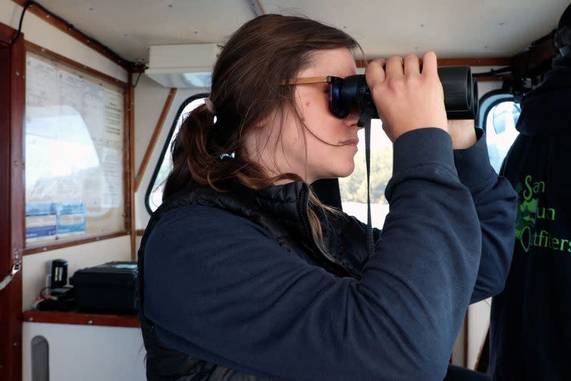 Orca behavior experts intrigued by boat bumpings that have captivated the world