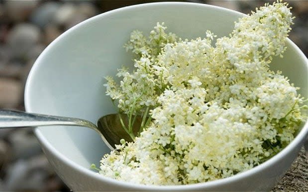 Elderflower hot toddy - Getty