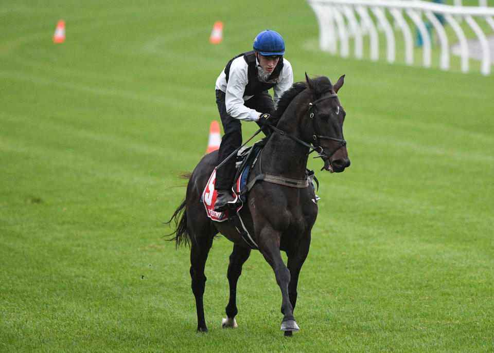 Ben Allen riding Sir Dragonet during a warm up gallop before breaking down during a trackwork session at Moonee Valley Racecourse on October 16, 2021. 