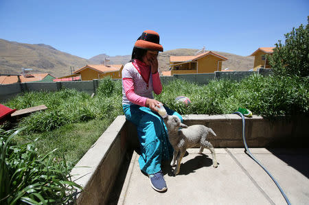 Margot Portilla gives milk to a lamb in the backyard of her home in the town of Nueva Fuerabamba in Apurimac, Peru, October 3, 2017. REUTERS/Mariana Bazo