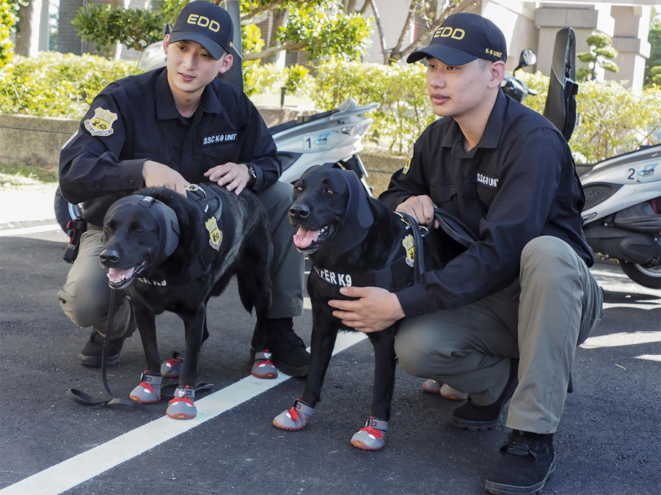 現場最吸睛莫過於兩隻戴上耳罩、穿上鞋套的拉不拉多防爆犬。（圖：張柏仲攝）