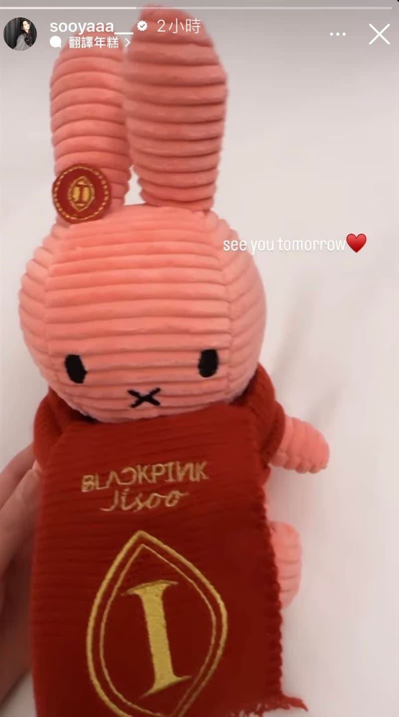 Jisoo深夜在IG限時動態曬出飯店贈送的粉紅米菲兔。（圖／翻攝IG）