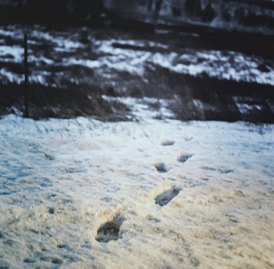 Footprints in the snow near the Cheyenne Reservation in Lame Deer, Mt., (Erin Trieb for NBC News)