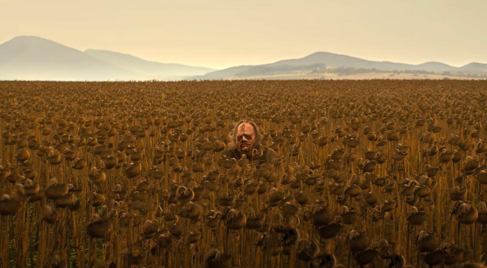 Leatherface hiding out in a field of dead sunflowers