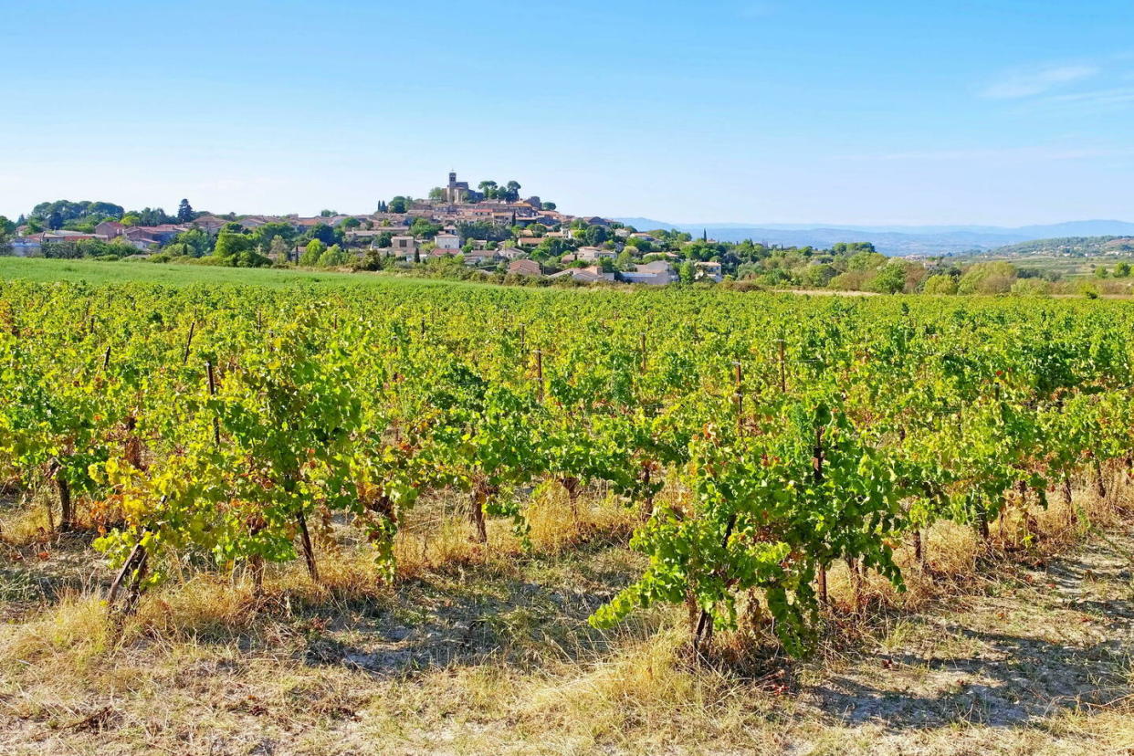 « De l'œnologie à la viticulture » est non  seulement un outil complet – le contraire serait surprenant de la part de ces deux pointures en la matière –, mais il est aussi et surtout malin.    - Credit:imageBROKER.com/SIPA / SIPA / imageBROKER.com/SIPA