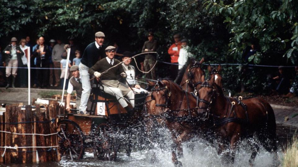 Carriage driving enthusiasm