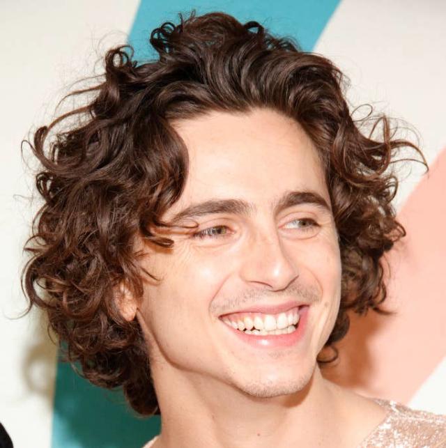 Timothée Chalamet's Sheer Shirt Look At The Wonka Premiere Has Me  Dumbfounded