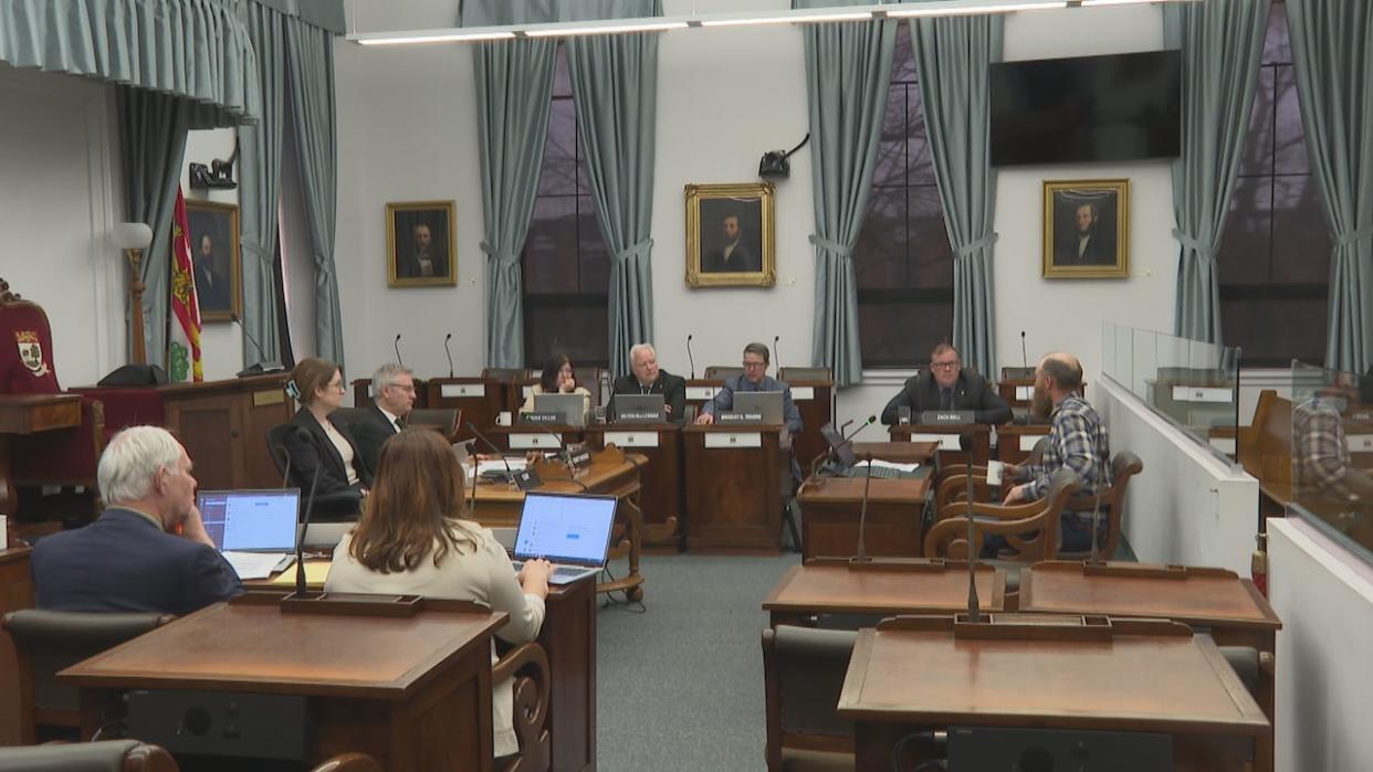 A member of the P.E.I. Trappers Association speaks to the legislative subcommittee that's looking into changes to trapping regulations on the Island. (Sheehan Desardins/CBC - image credit)