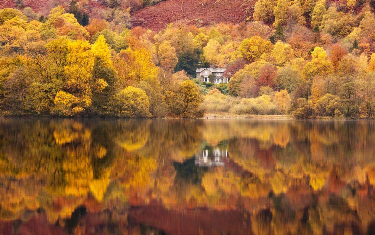 Autumn scene in Lake District - Getty