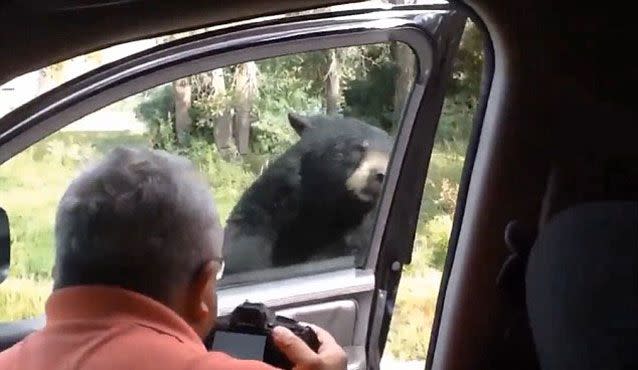 The clever bear opens the door while a man sitting inside continues to take pictures, ignoring his children's terrified screams. Picture: Liveleak/Sarcasmonaut